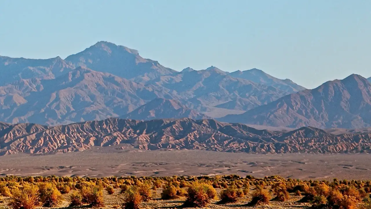 Devils Cornfield in Death Valley National Park