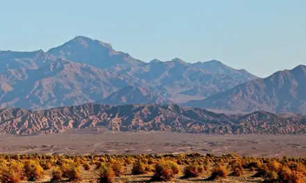 Death Valley National Park – A Visitor’s Guide