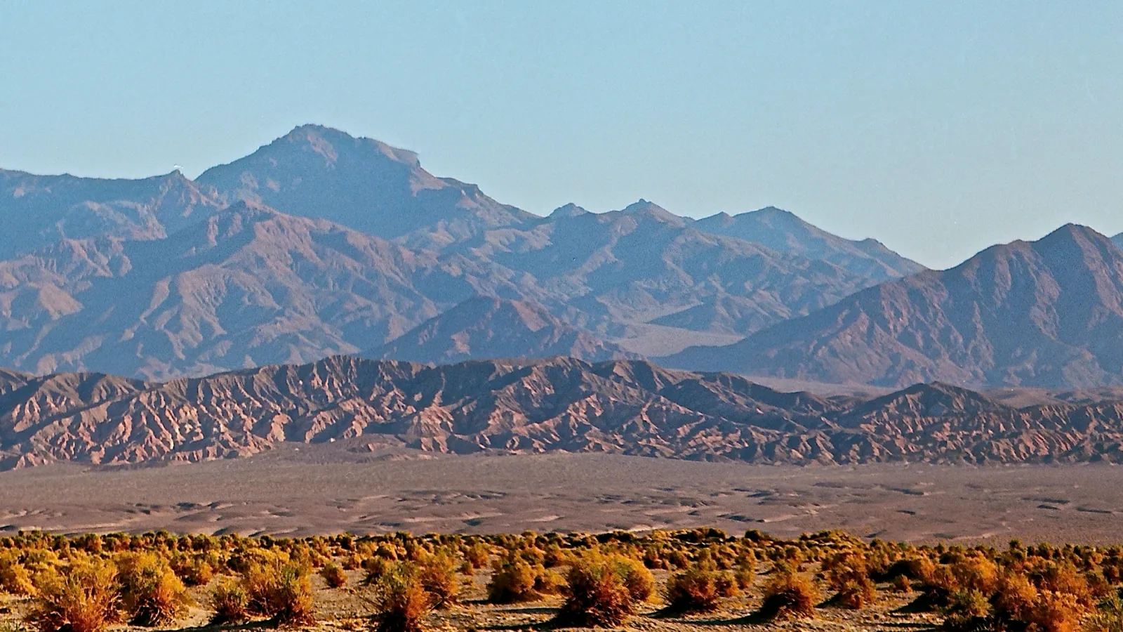 Devils Cornfield in Death Valley National Park