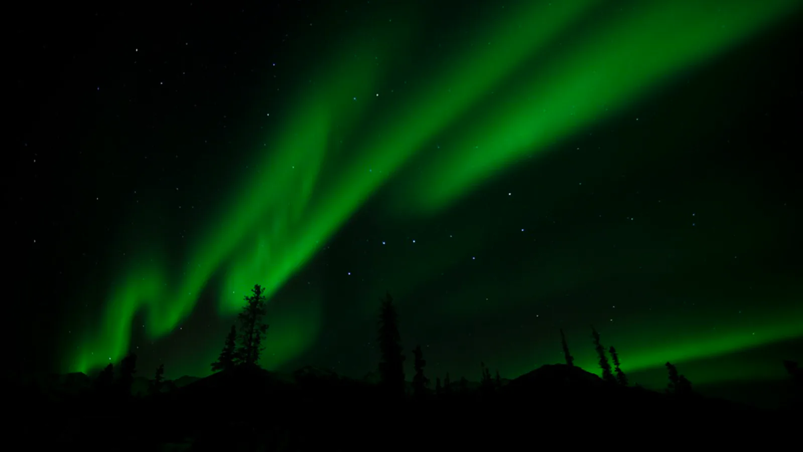 Aurora ribbons above Denali National Park