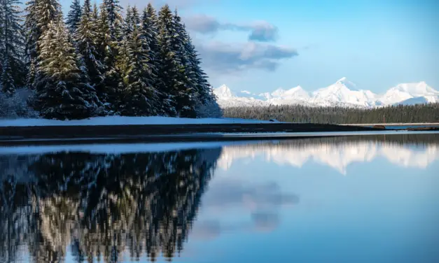 Glacier Bay National Park – A Visitor’s Guide