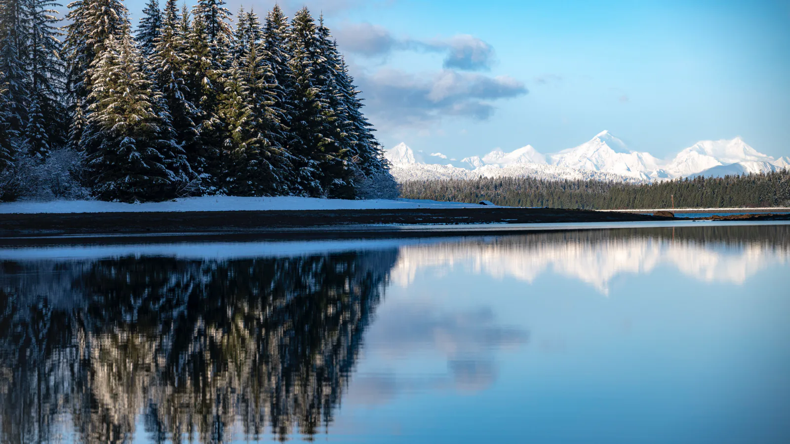 Fresh snow across Glacier Bay National Park
