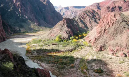 The History of Grand Canyon National Park – A Visitors Guide