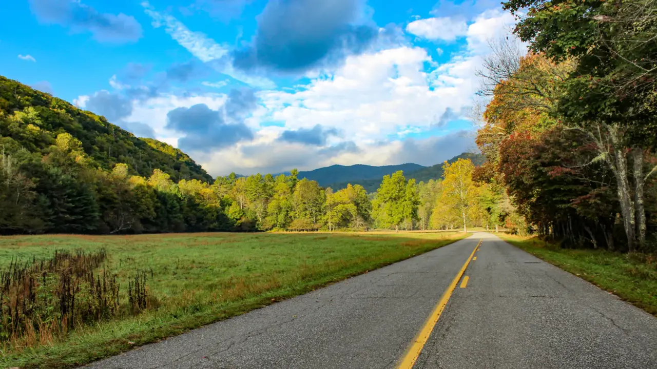 Open meadow beneath wooded mountains in Great Smoky Mountains National Park