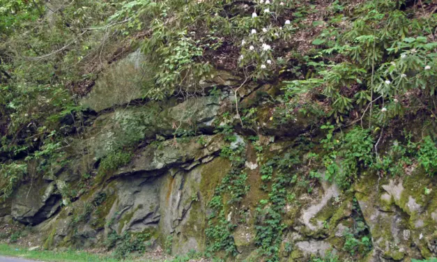 Geology of Great Smoky Mountains National Park – A Visitor’s Guide