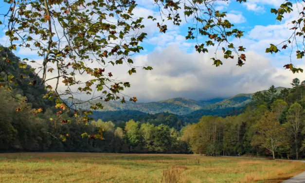 Great Smoky Mountains National Park – A Visitor’s Guide