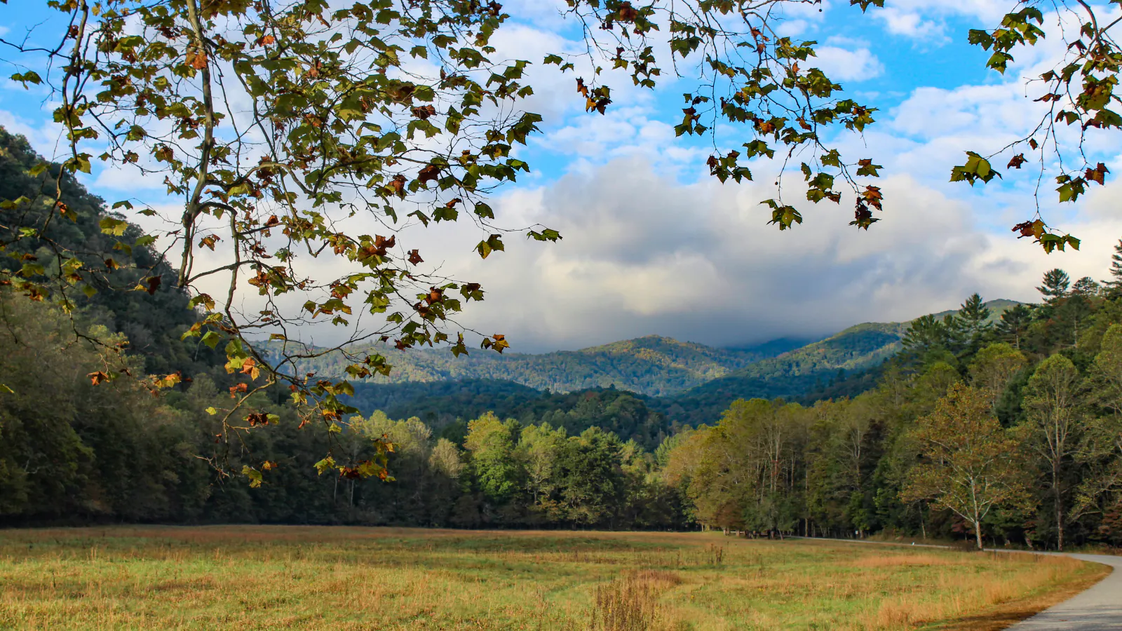 Cataloochee meadow and mountains in Great Smoky Mountains National Park