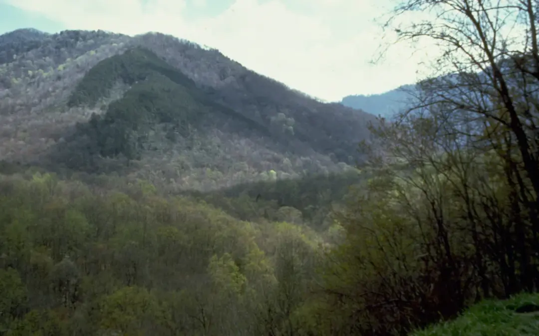 Great Smoky Mountains National Park Itinerary – 1, 3 and 7-day.