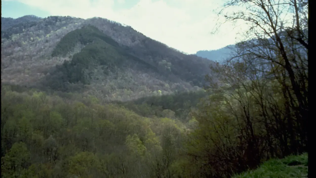 Forested mountain ridges in Great Smoky Mountains National Park