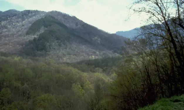 Great Smoky Mountains National Park Itinerary – 1, 3 and 7-day.