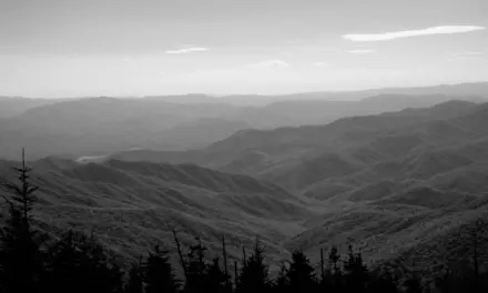The Best Restaurants Near Great Smoky Mountains National Park