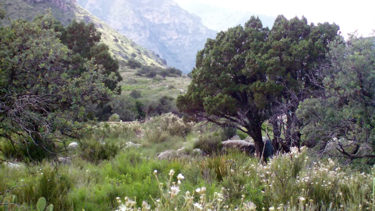 Mountain landscape in Guadalupe Mountains National Park