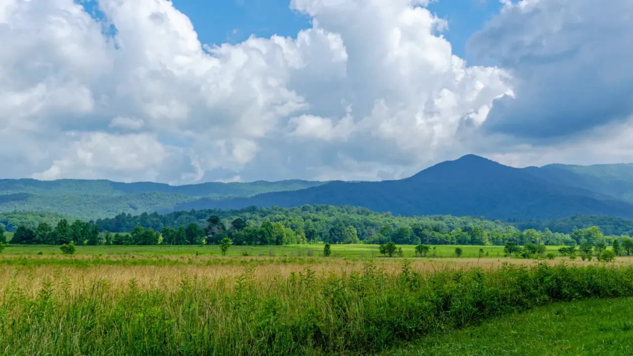 Historic Cades Cove landscape in Great Smoky Mountains National Park