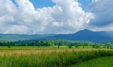 The History of Great Smoky Mountains National Park – A Visitor’s Guide