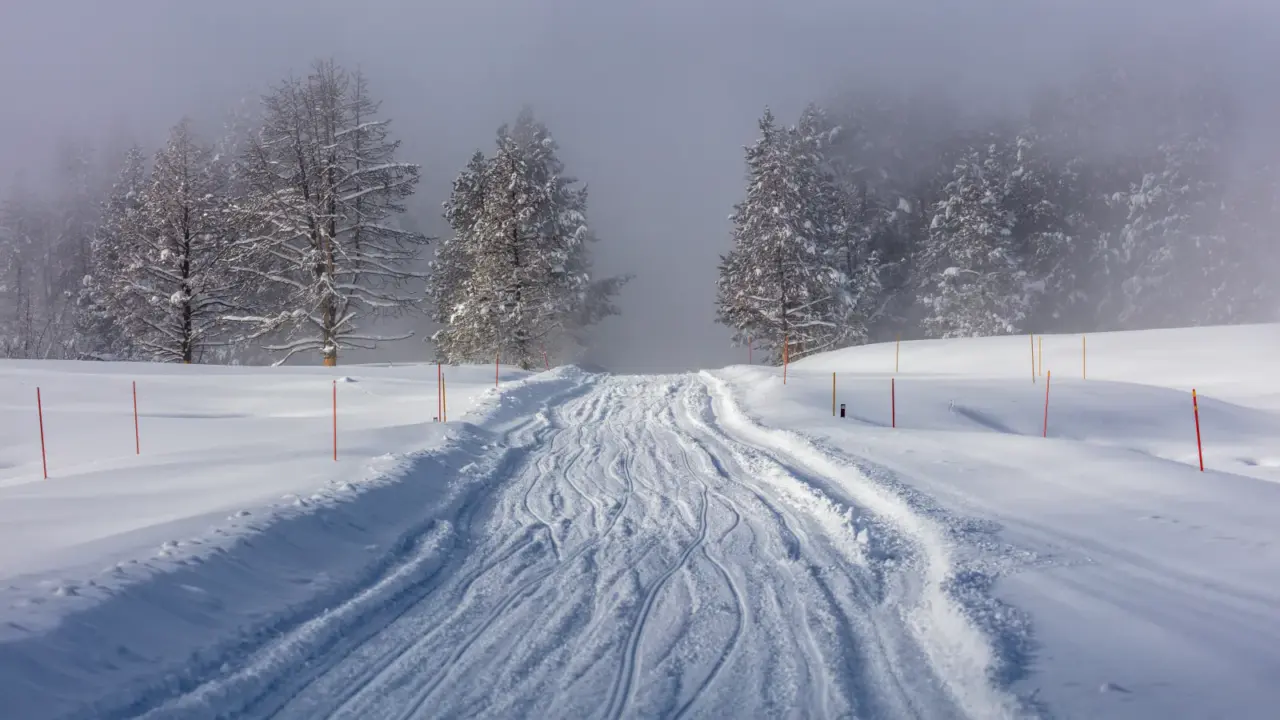 Snowy road disappearing into steam near Mud Volcano in Yellowstone National Park