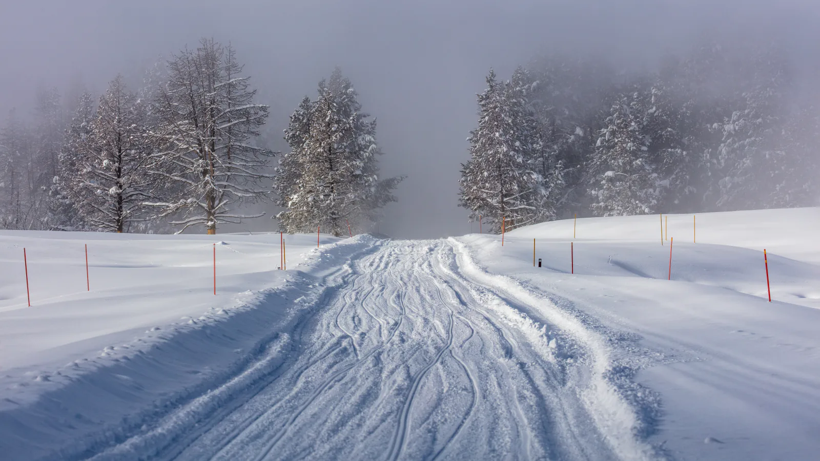 Snowy road disappearing into steam near Mud Volcano in Yellowstone National Park