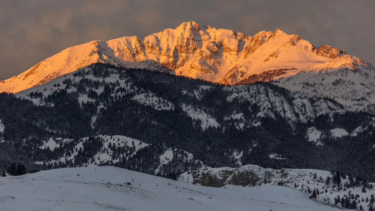 Morning light on Electric Peak in Yellowstone National Park