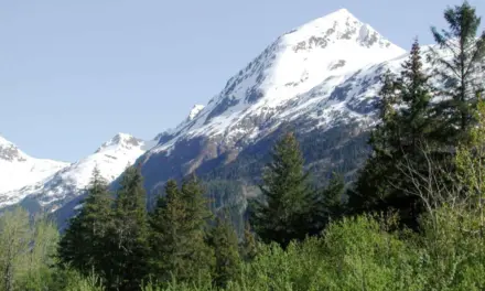 Kenai Fjords National Park – A Visitor’s Guide