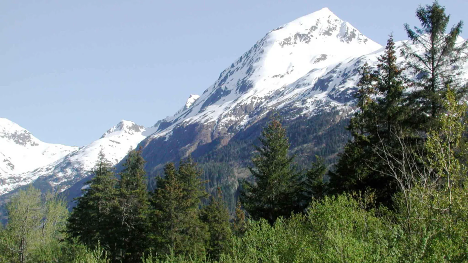 Snow-covered mountain above the forest in Kenai Fjords National Park