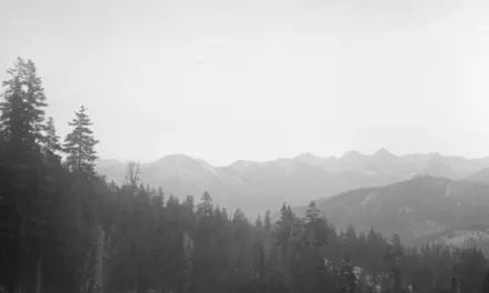 Kings Canyon National Park – A Visitor’s Guide