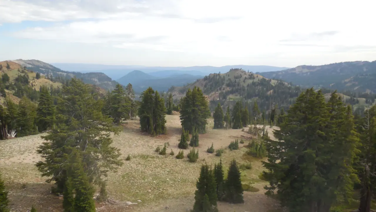 Forested volcanic landscape in Lassen Volcanic National Park