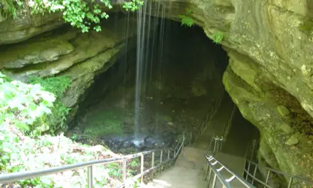 Mammoth Cave National Park – A Visitor’s Guide
