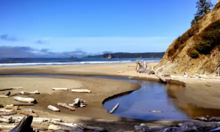 Olympic National Park – A Visitor’s Guide