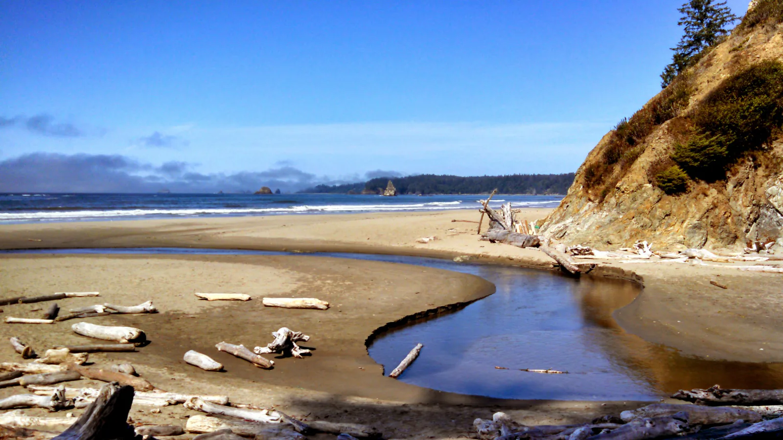Mosquito Creek estuary flowing to the Pacific in Olympic National Park