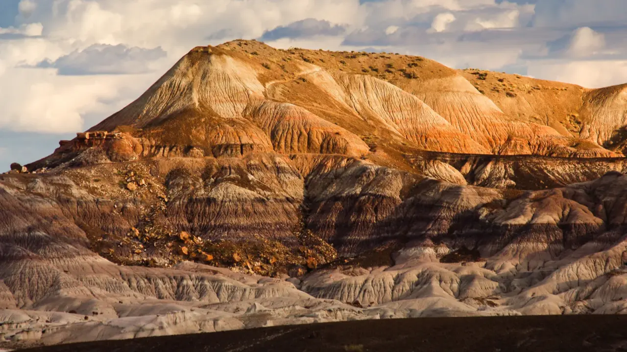Southern Mesa landscape in Petrified Forest National Park