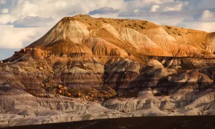 Petrified Forest National Park – A Visitor’s Guide