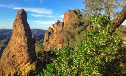 Pinnacles National Park – A Visitor’s Guide