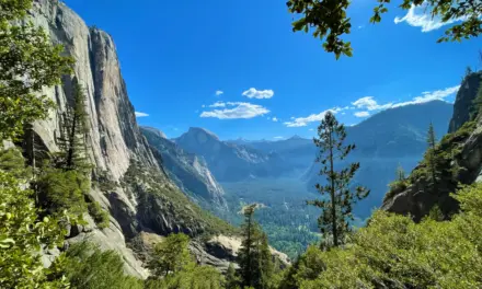 Best Restaurants Near Yosemite National Park