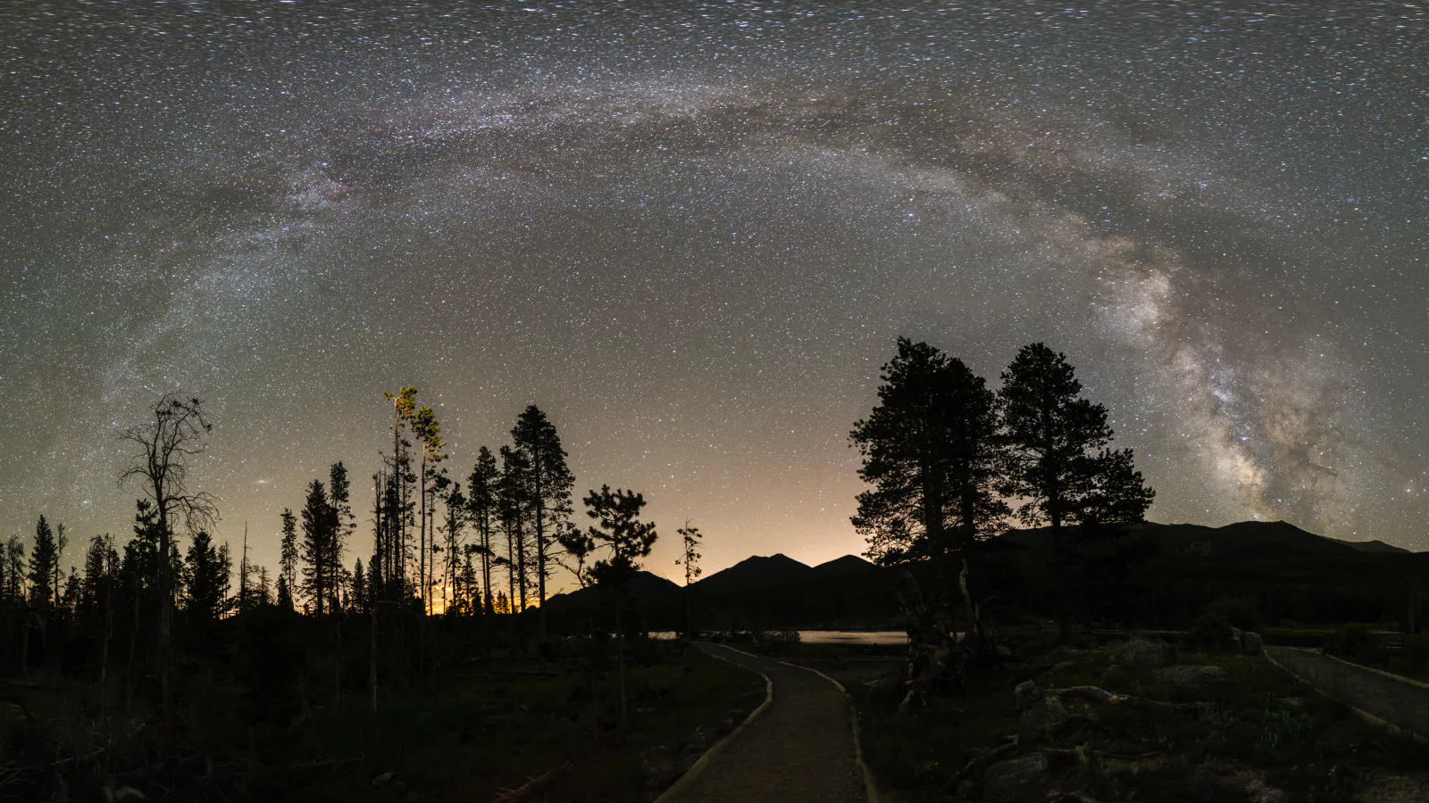 Milky Way framed by silhouetted trees in Rocky Mountain National Park
