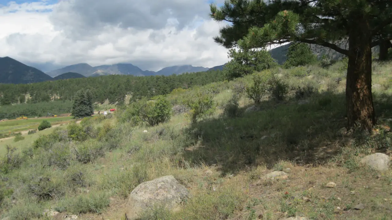 Historic William Allen White property landscape in Rocky Mountain National Park