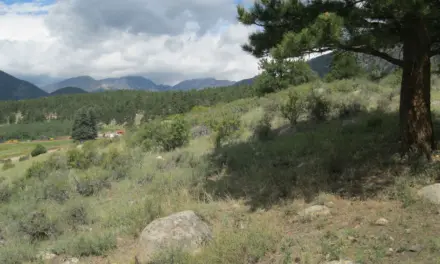 The History of Rocky Mountain National Park – A Visitors Guide