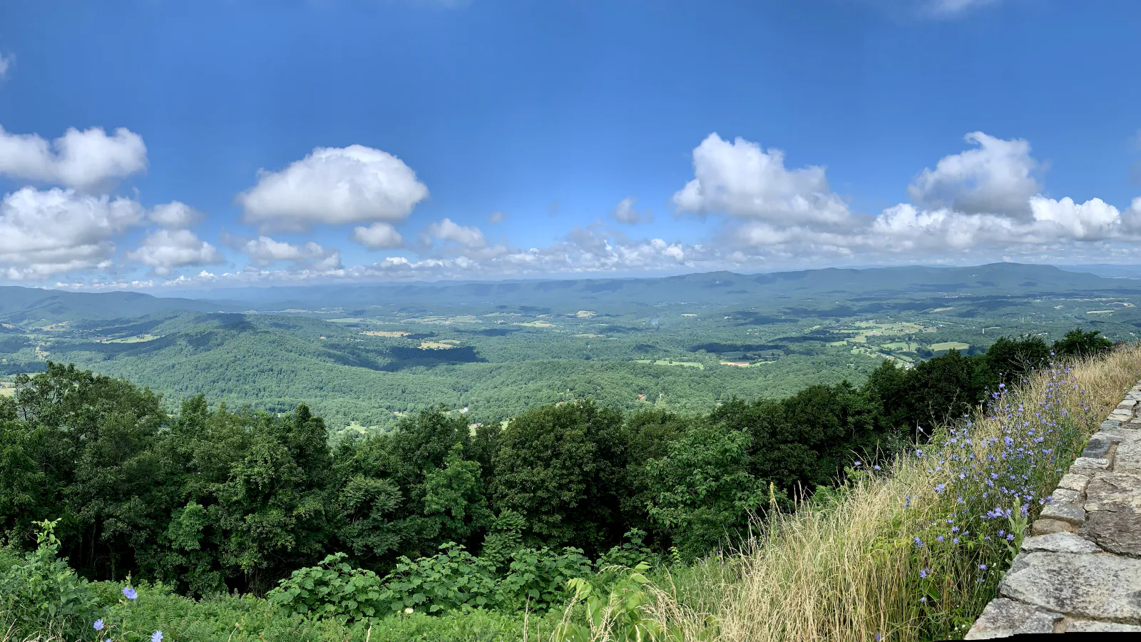 Mountain view from a Skyline Drive overlook in Shenandoah National Park
