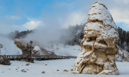The Best Season to Visit Yellowstone National Park