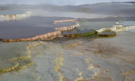 History of Yellowstone National Park – A Visitor’s Guide