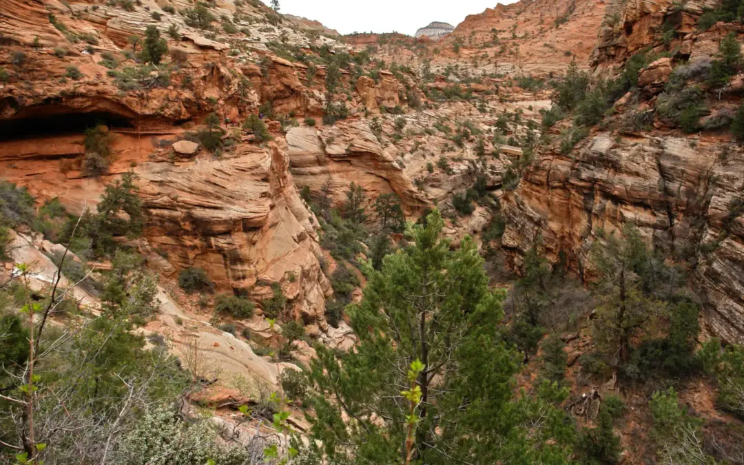 Top 20 Things to do in Zion National Park