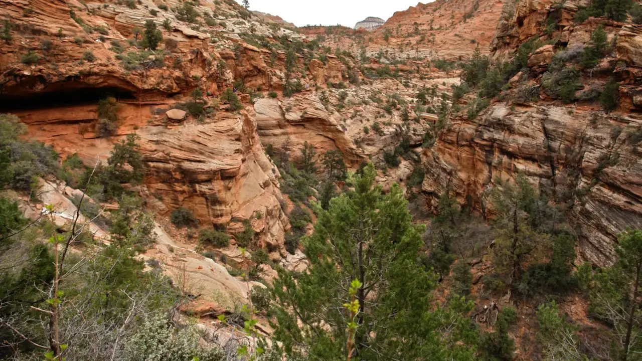 Red sandstone canyon and hikers on a cliffside trail in Zion National Park