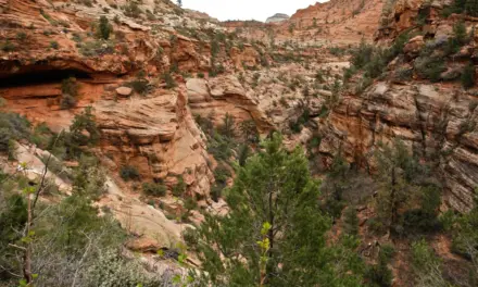 Top 20 Things to do in Zion National Park