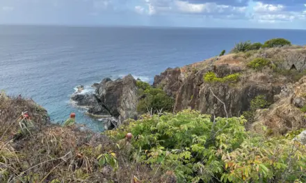 Virgin Islands National Park – A Visitor’s Guide
