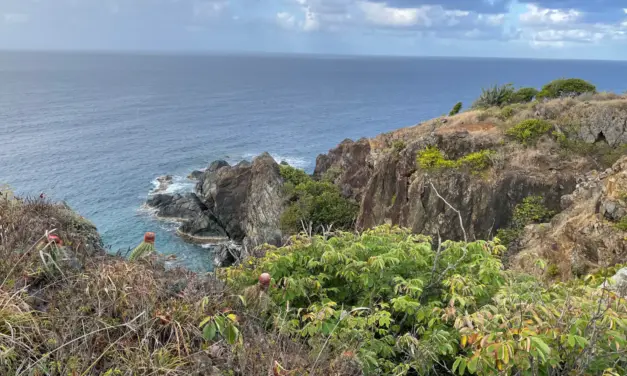 Virgin Islands National Park – A Visitor’s Guide