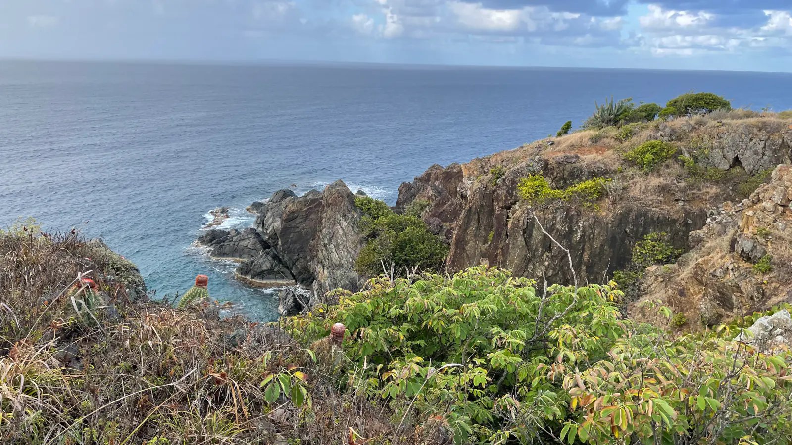 Tektite Trail on Saint John in Virgin Islands National Park
