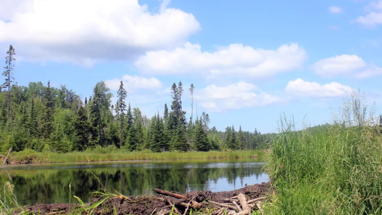 Small pond on the Interior Peninsula in Voyageurs National Park