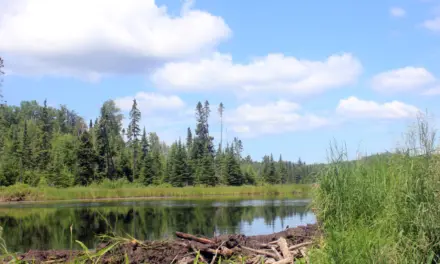 Voyageurs National Park – A Visitor’s Guide