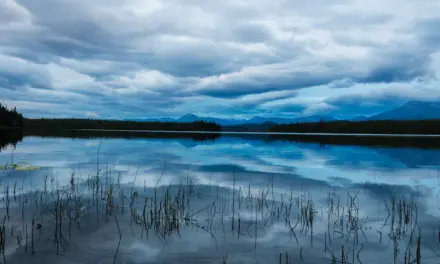 Wrangell-St. Elias National Park – A Visitor’s Guide