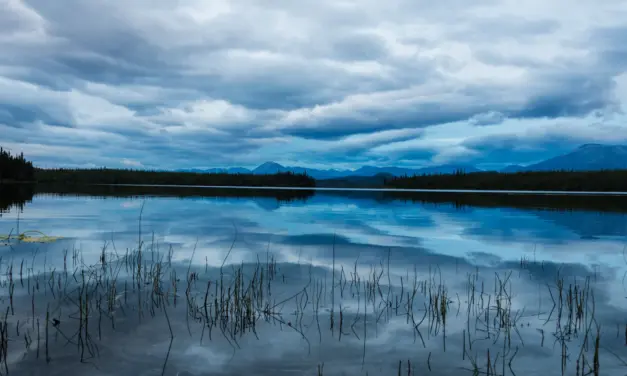 Wrangell-St. Elias National Park – A Visitor’s Guide
