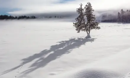 Top Yellowstone National Park FAQs
