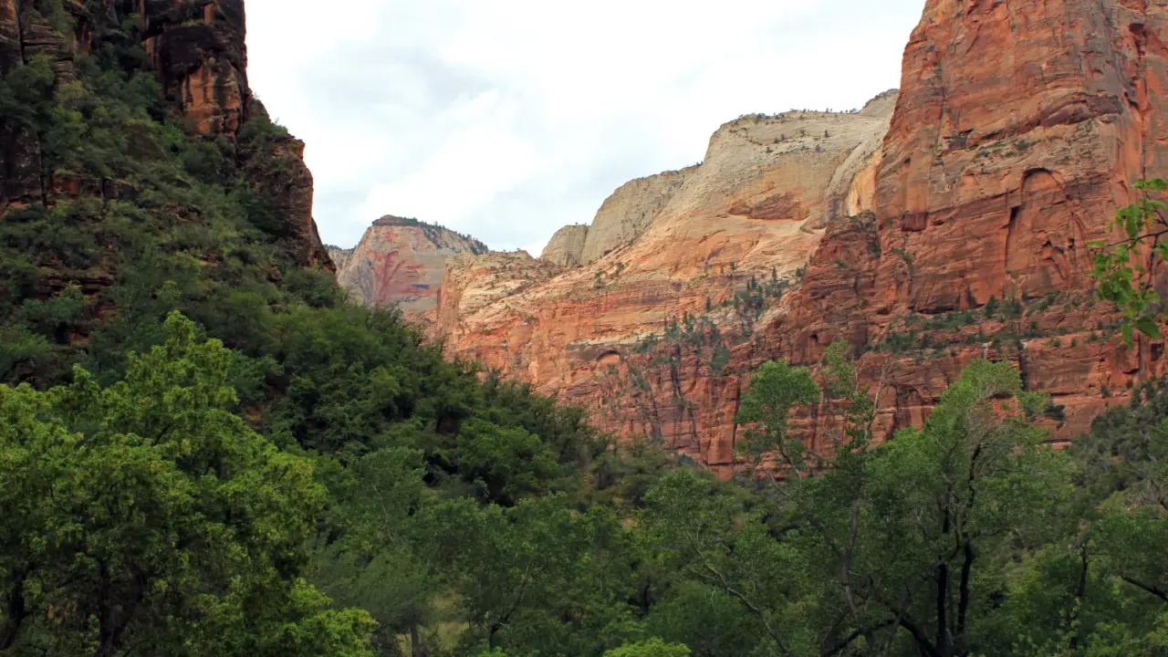 Red cliffs and canyon walls in Zion National Park